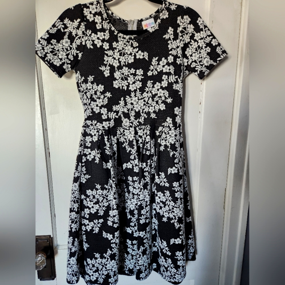 LLR amelia
